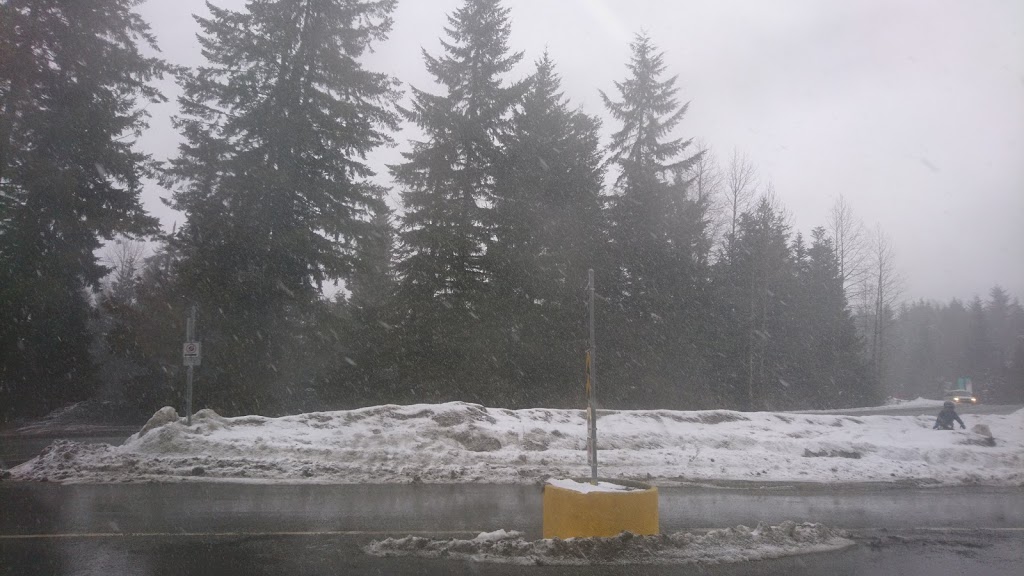 Cedar Springs B & B Lodge | 8106 Camino Dr, Whistler, BC V0N 1B8, Canada | Phone: (604) 938-8007