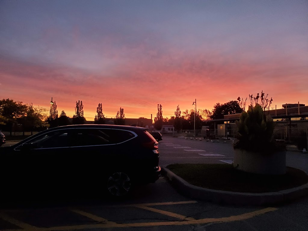 David Hamilton Park | Richmond Hill, ON L4B 3A1, Canada | Phone: (905) 771-8800