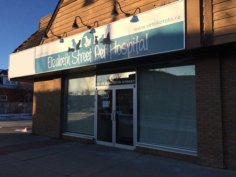 Elizabeth Street Pet Hospital | 74 Elizabeth St #2, Okotoks, AB T1S 1B5, Canada | Phone: (403) 982-8387