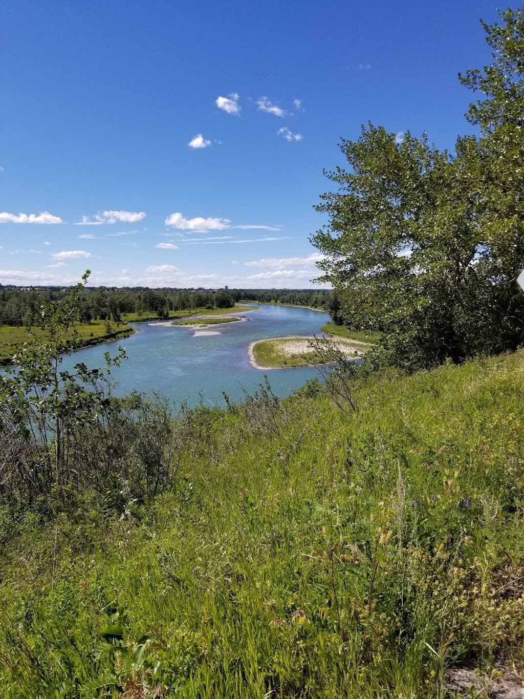 Douglasbank Park | 2191 Douglasbank Crescent SE, Calgary, AB T2Z 2J4, Canada