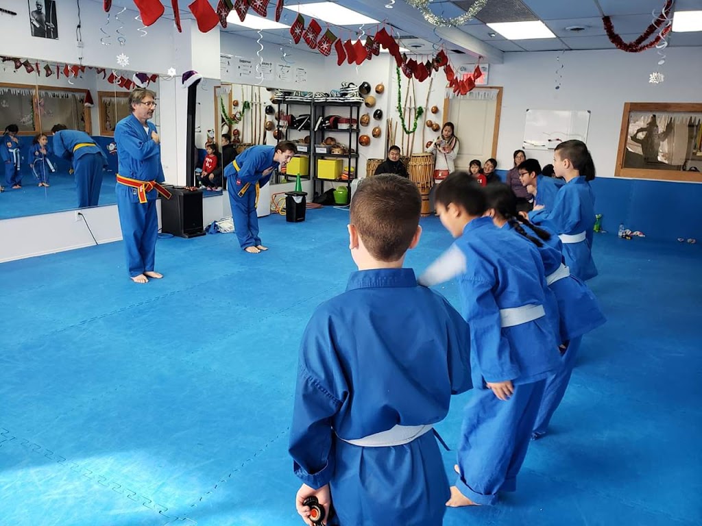 Vovinam Quebec À Laval | 103 A Bd de la Concorde O, Laval, QC H7N 1H8, Canada | Phone: (514) 501-2610