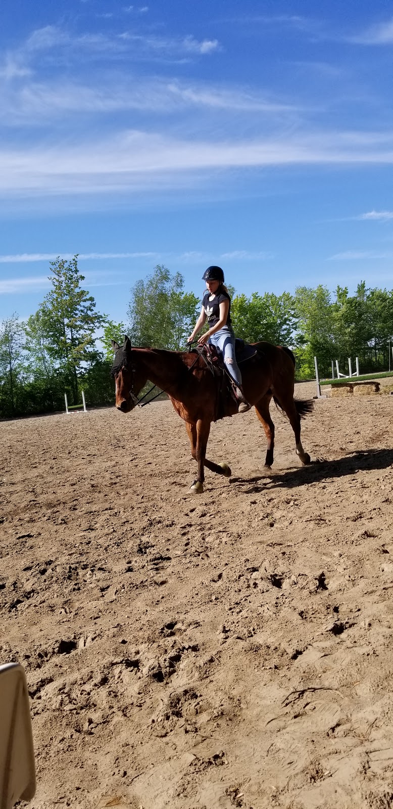 Les Écuries Langlois | 376 Rte St Philippe, Saint-Roch-de-lAchigan, QC J0K 3H0, Canada | Phone: (514) 622-2947