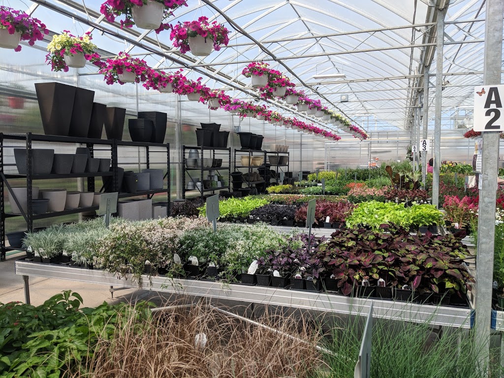 Sumka Brothers Greenhouses (1977) | 328 Peguis St, Winnipeg, MB R3W 1R4, Canada | Phone: (204) 661-9229