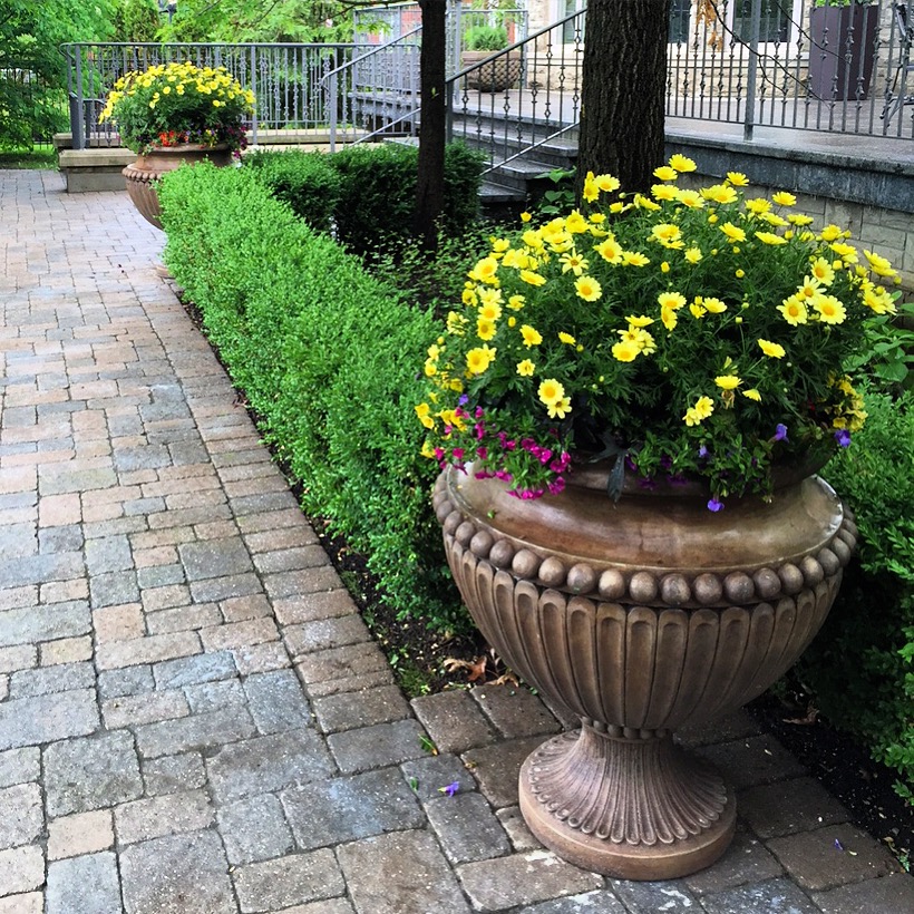 Vaughan Garden Centre Ltd / My Disposal Bins | 8955 Weston Rd, Woodbridge, ON L4L 1A6, Canada | Phone: (905) 850-9855