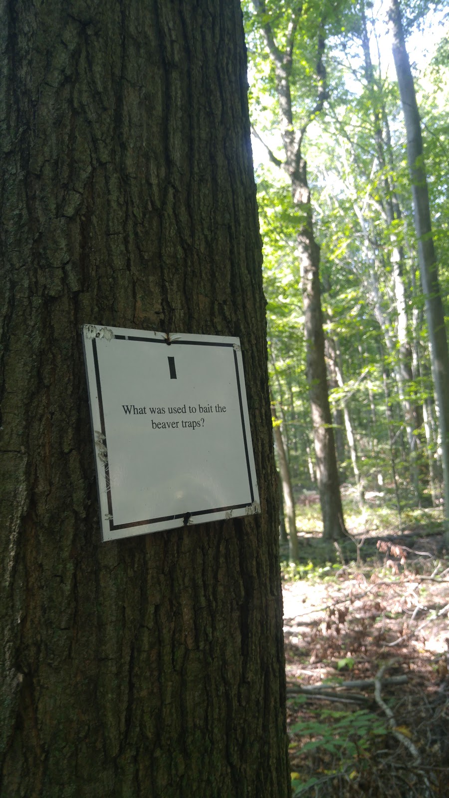 Jaffa Environmental Education Centre, TVDSB | 48346 John Wise Line, Aylmer, ON N5H 2R4, Canada