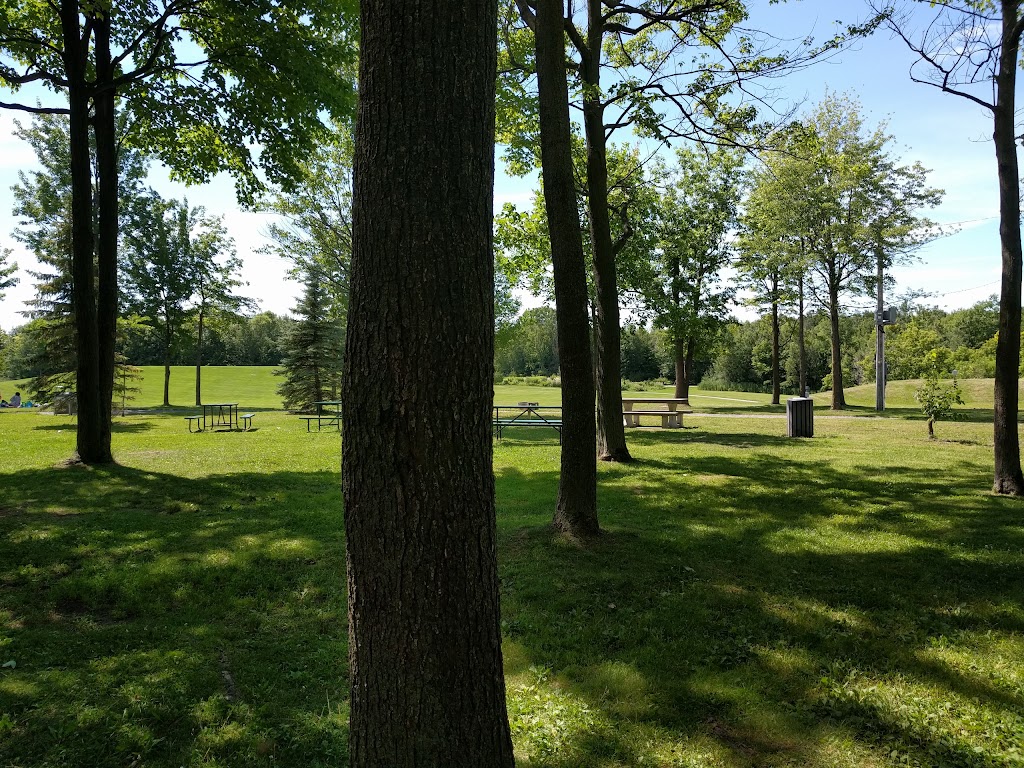 Parc Les Salines | 5330 Rue Martineau, Saint-Hyacinthe, QC J2R 1T8, Canada | Phone: (450) 253-5082