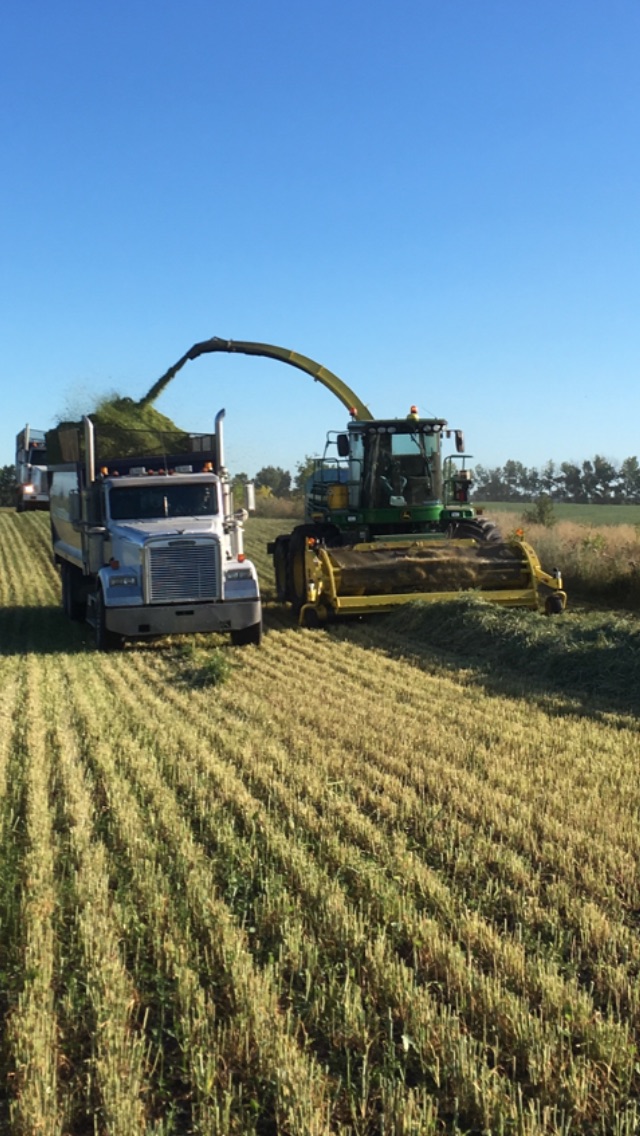 Meerevo Farms | RR1, Ponoka, AB T4J 1R1, Canada | Phone: (403) 704-0843