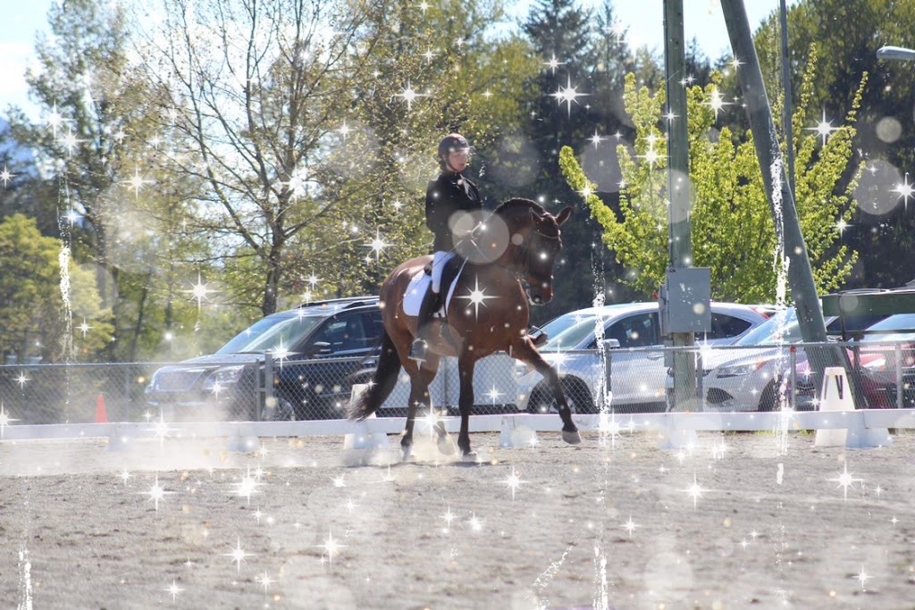 Alpine Stables | 3700 Holland Ave, Cobble Hill, BC V0R 1L3, Canada | Phone: (250) 812-6115