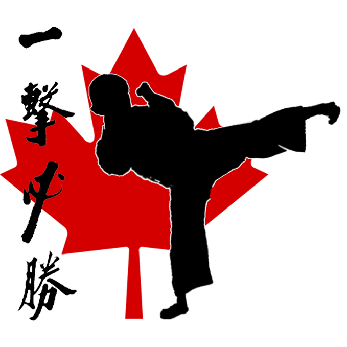 Stittsville Taekwon-Do | 2 Mulkins St, Stittsville, ON K2S 0R8, Canada | Phone: (613) 868-8541