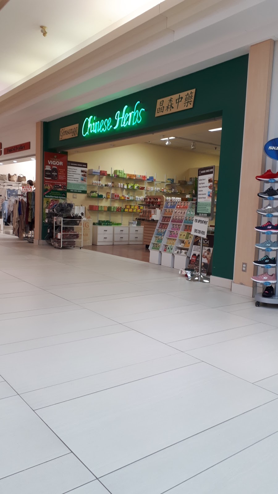 Ginsengg Herbs | 4141 Dixie Rd, Mississauga, ON L4W 1V5, Canada | Phone: (905) 206-9050