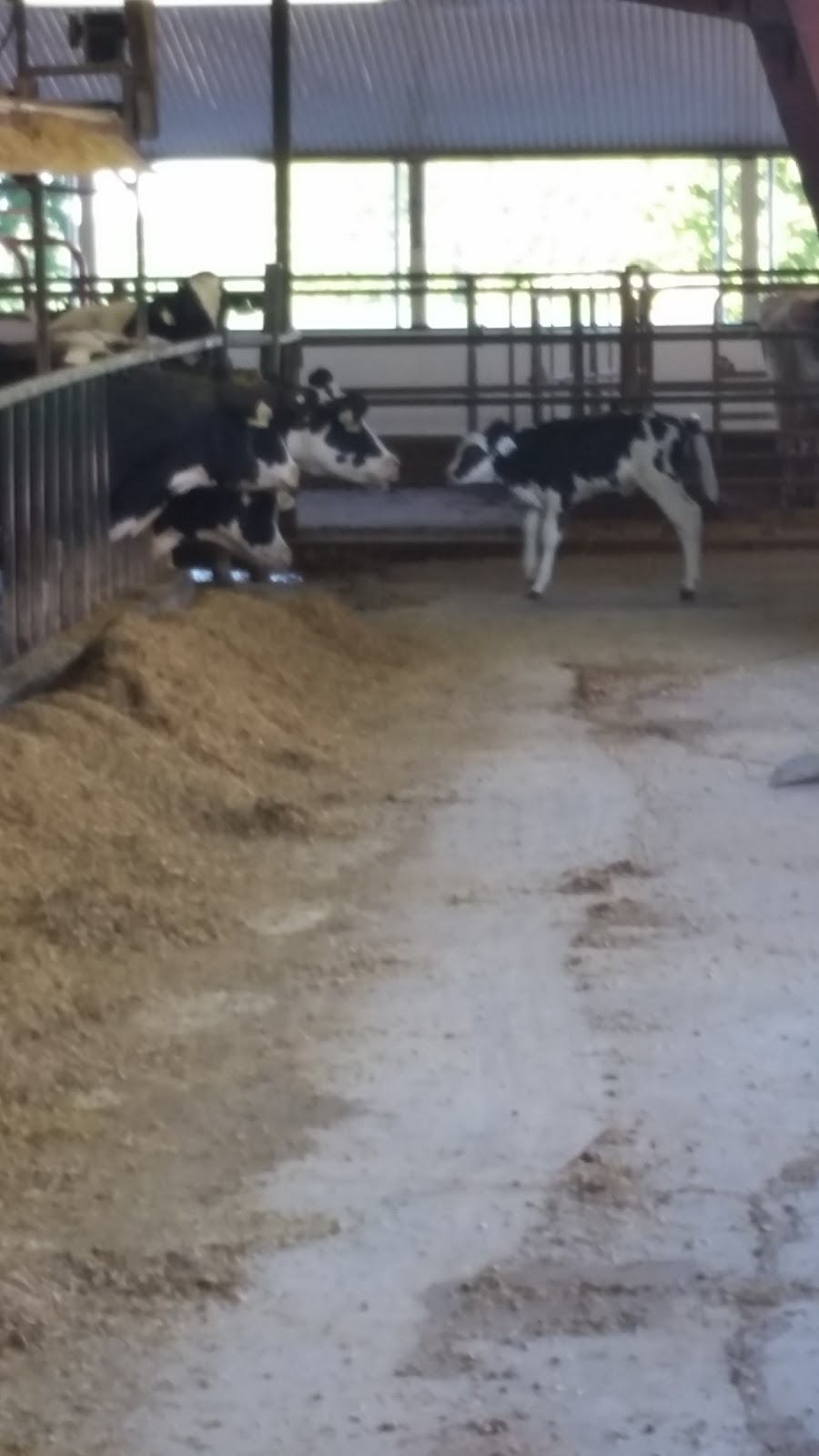 Donevelyn Farms Ltd. | 4053 Yorks Corners Rd, Metcalfe, ON K0A 2P0, Canada | Phone: (613) 227-7776