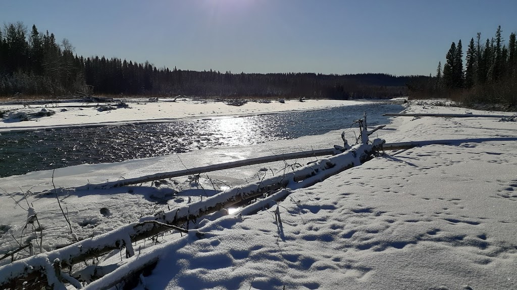 Kountry Aire Campground | 17 Boundary Blvd, Caroline, AB T0M 0M0, Canada | Phone: (403) 722-2922