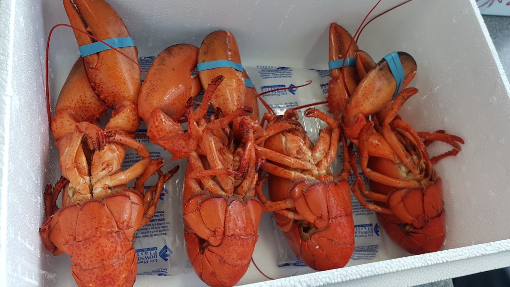 Captain Cookes Seafood Inc | 23675 Trans Canada Hwy, Borden-Carleton, PE C0B 1X0, Canada | Phone: (902) 437-3620