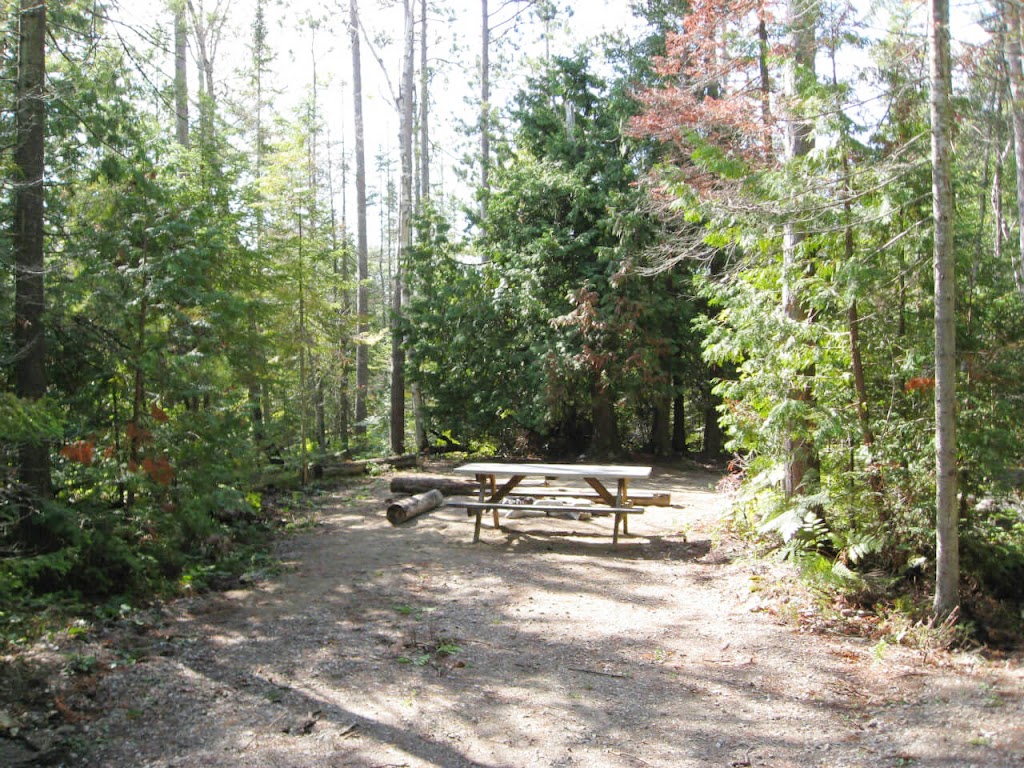 Saras Cabin & Gas Variety | 6313 Hwy 6, Tobermory, ON N0H 2R0, Canada | Phone: (647) 624-6007