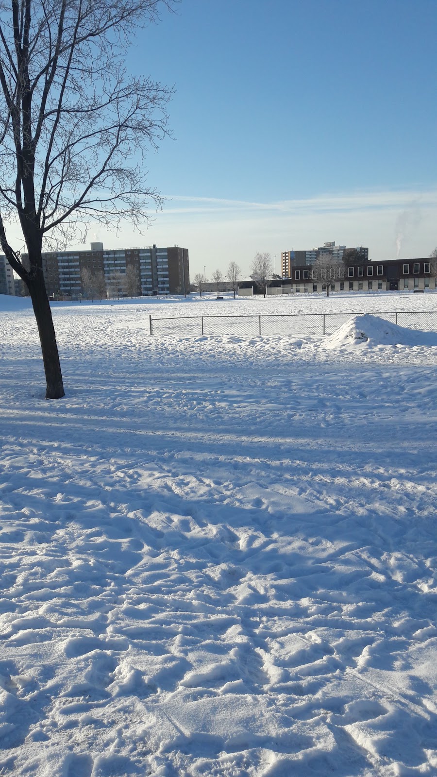 Bayshore Public School | 145 Woodridge Crescent, Nepean, ON K2B 7T2, Canada | Phone: (613) 828-8698