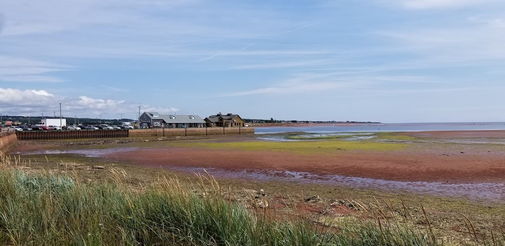 By-The-Sea-Kayaking & Adventures | 1 Water St, Victoria, PE C0A 2G0, Canada | Phone: (902) 658-2572