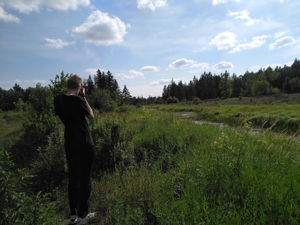Sedge Wren Marsh Trail | 1-917 Wylie Rd, Kirkfield, ON K0M 2B0, Canada