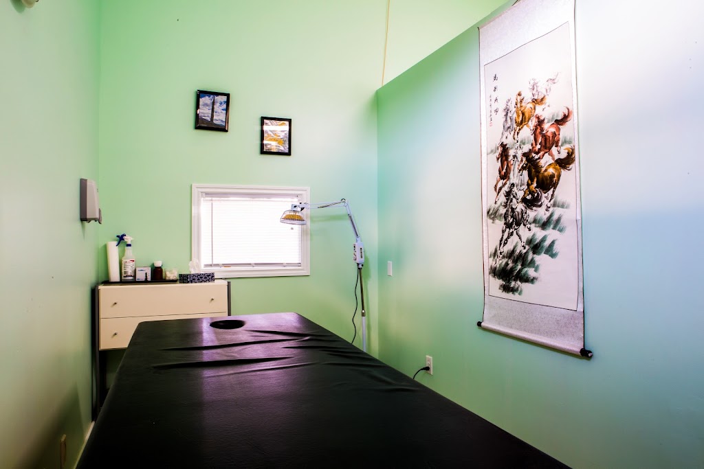 Flying Turtle Acupuncture & Massage | 6828 50 Ave #3, Red Deer, AB T4N 4E3, Canada | Phone: (403) 343-1539