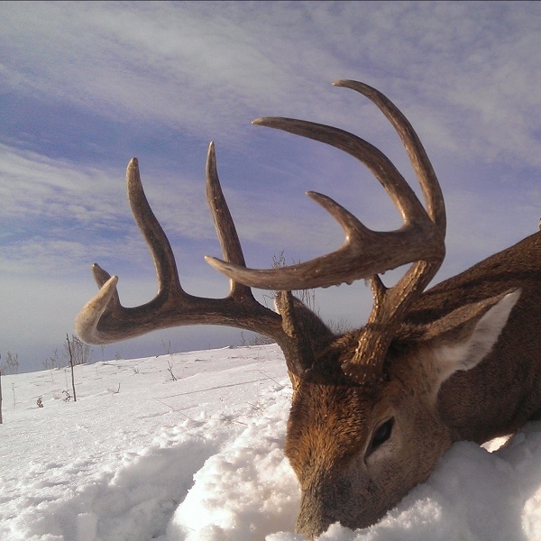 Last West Outfitting | RR1, Bluffton, AB T0C 0M0, Canada | Phone: (315) 636-5277