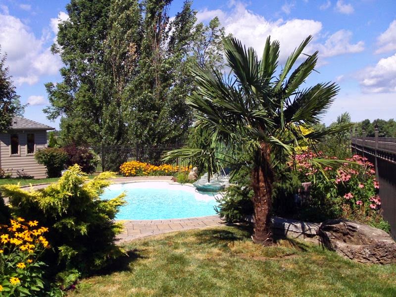 Expression tropicale | 13275 Côte des Anges, Mirabel, QC J7N 2G6, Canada | Phone: (514) 805-5238