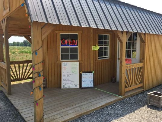 Green turtle Cannabis & Leisure co. | Bodkin Rd, Middlesex County, ON N0L 2G0 6105 Bodkin Rd, Middlesex County, ON N0L 2G0, Southwold, ON N0L 2G0, Canada | Phone: (519) 808-8017