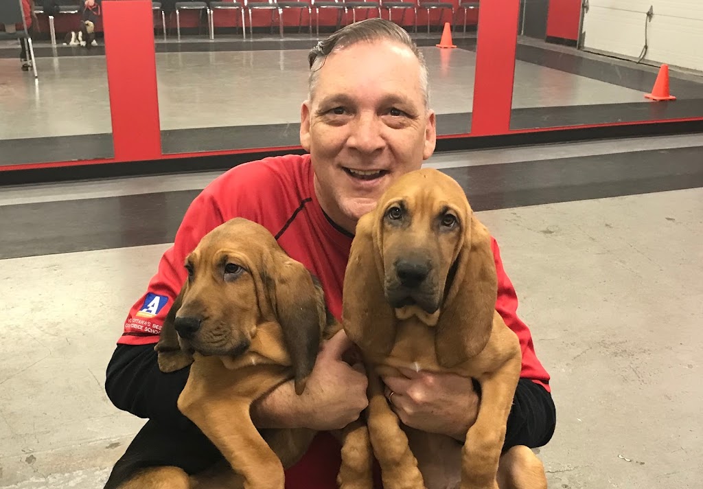 Canadian Canine Training Academy | 108-190 Menten Pl, Nepean, ON K2H 9G3, Canada | Phone: (613) 276-3647