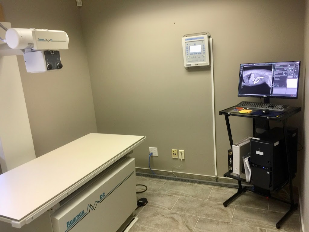 Vet-Champlain Animal Care Inc | 880 Champlain St, Dieppe, NB E1A 1P7, Canada | Phone: (506) 830-6888