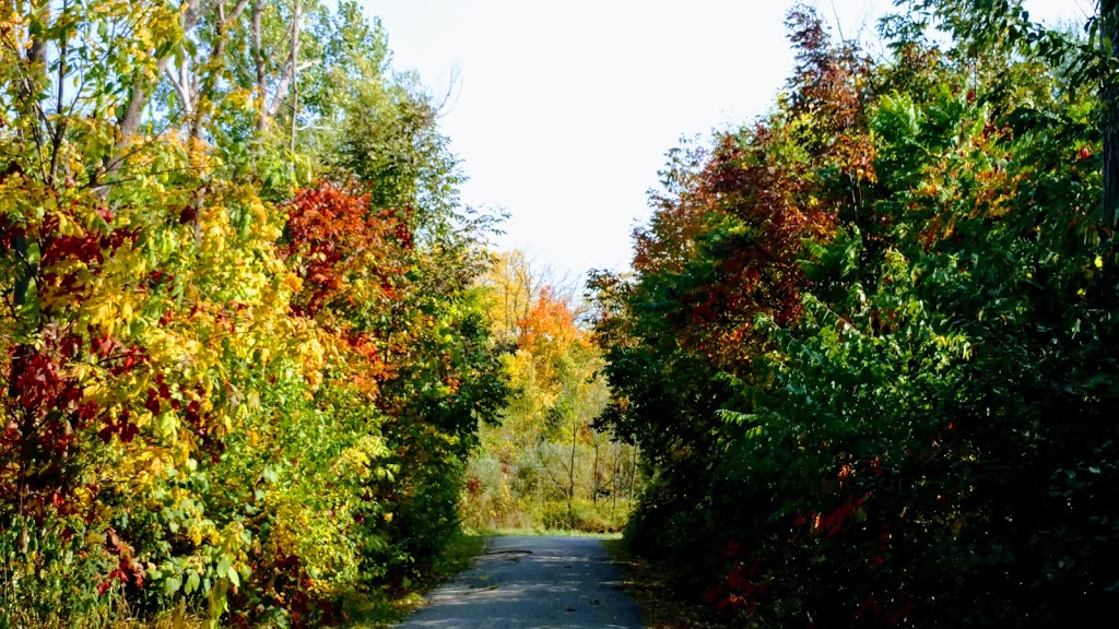 Kings Forest Golf Club | 100 Greenhill Ave, Hamilton, ON L8K 6M4, Canada | Phone: (905) 521-3970