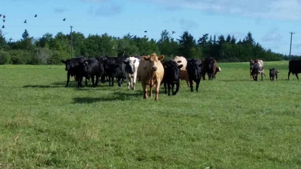 D&A Meats | 313 Baseline Rd, Glenvale, NB E4Z 2Z8, Canada | Phone: (506) 756-3643