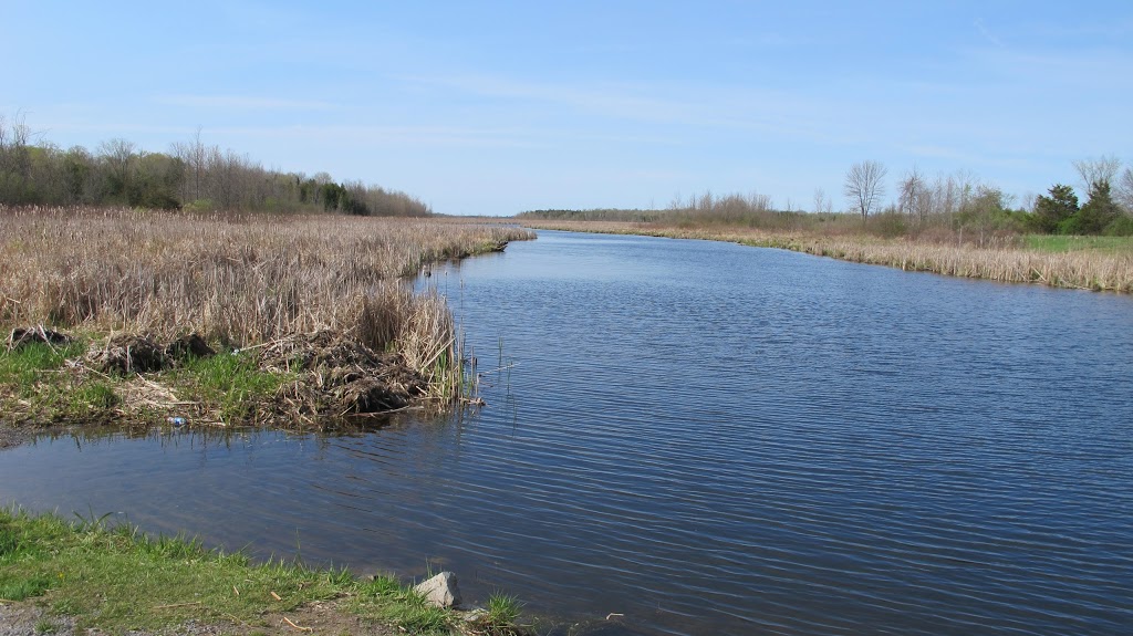 Purdy Water Access Point | 3787 Road 38, Harrowsmith, ON K0H 1V0, Canada | Phone: (613) 546-4228