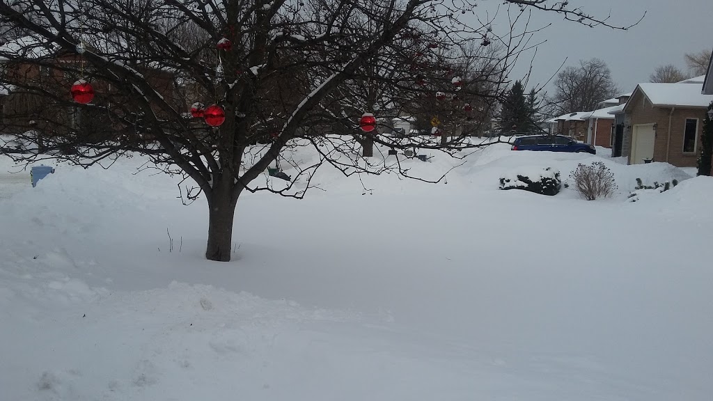 Radenhurst Park | Radenhurst Crescent, Barrie, ON L4M 6C6, Canada