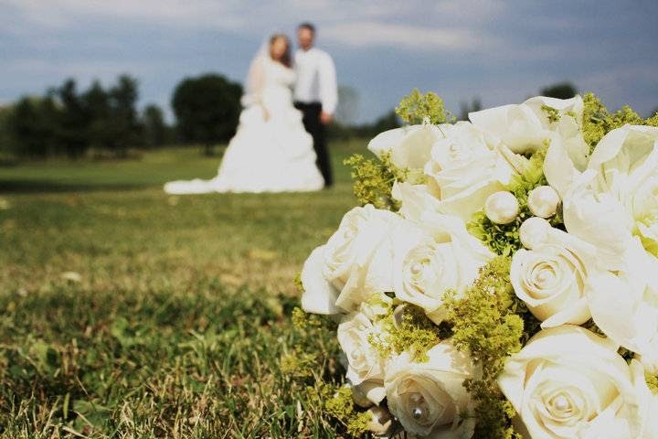 FLORARTICA | 1780 Dorset Dr, Ottawa, ON K1H 5T8, Canada | Phone: (613) 739-8383
