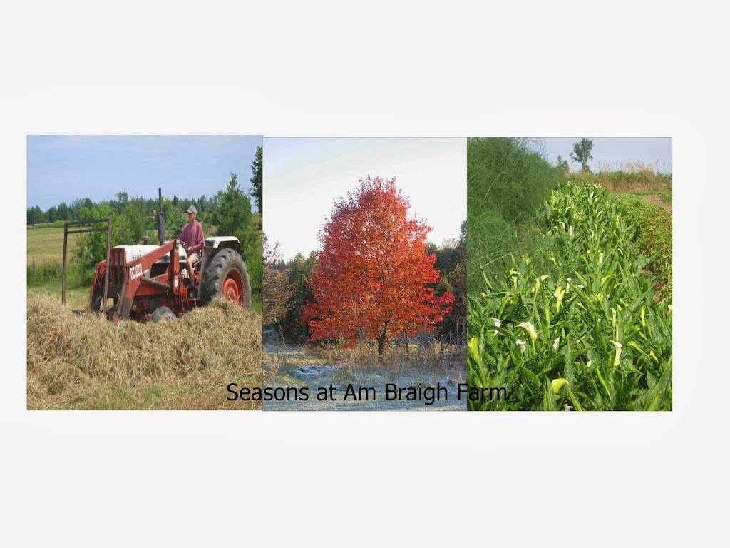 Am Braigh Farm | 873393 Fifth Line EHS, Mono, ON L9W 6A5, Canada | Phone: (519) 217-8549