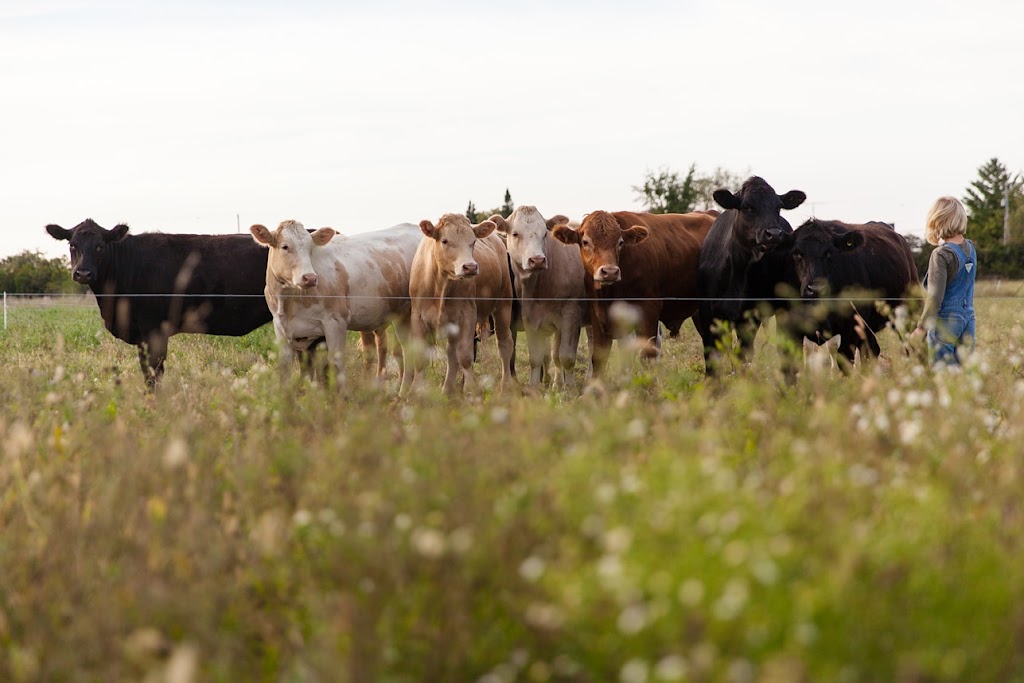 Jubilee Forest Farm | 73 White Chapel Rd, Picton, ON K0K 2T0, Canada | Phone: (613) 848-5162
