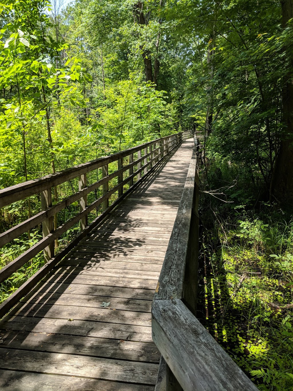 Rondeau Provincial Park | 18050 Rondeau Park Road, Morpeth, ON N0P 1X0, Canada | Phone: (519) 674-1750