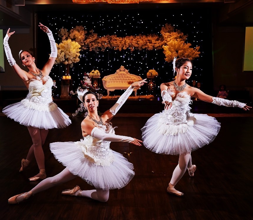 Diamond Dancers | 22 Applewood Ln, Toronto, ON M9C 0C1, Canada | Phone: (416) 795-1314