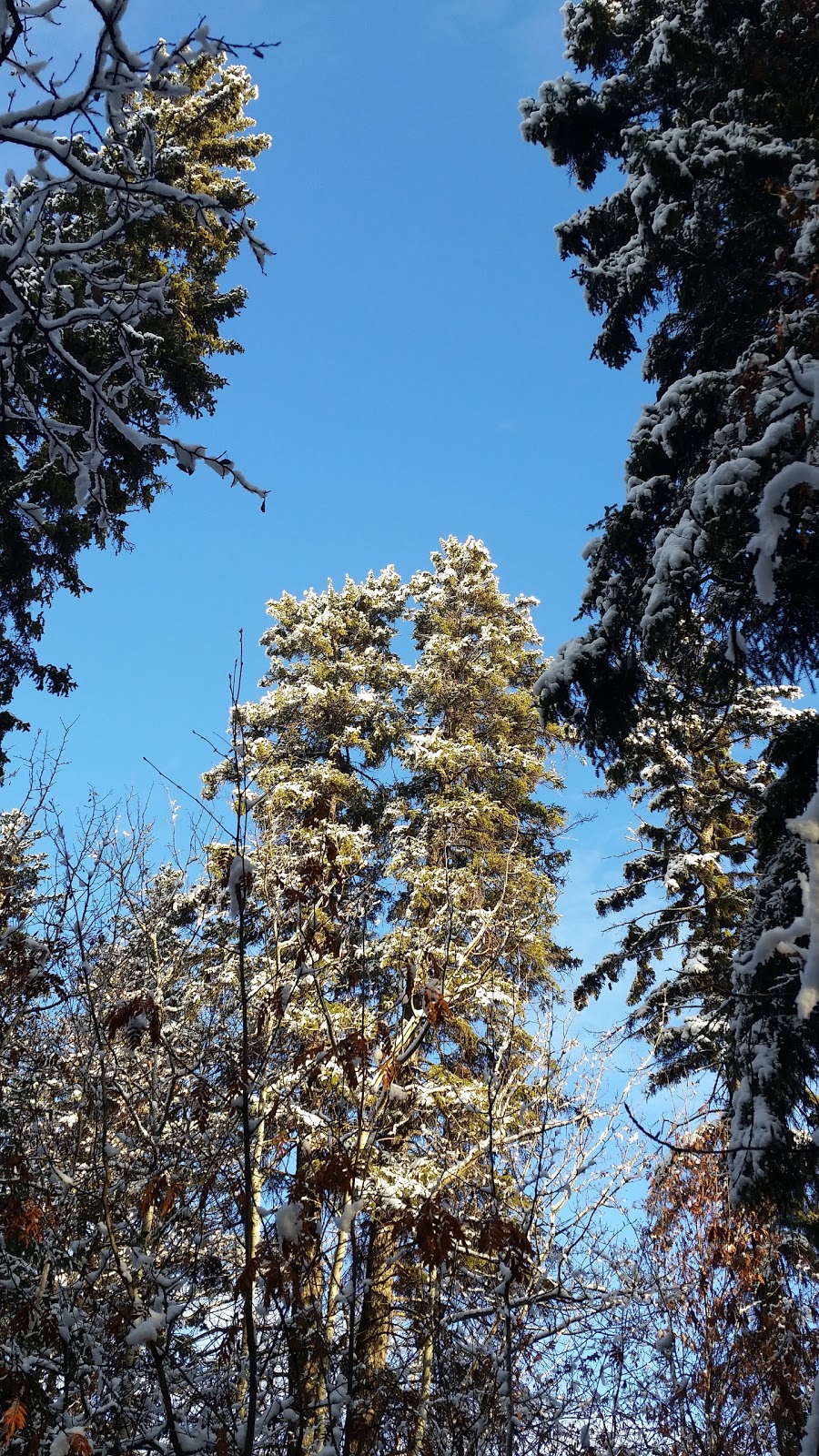 Waskasoo Park | 48 St, Red Deer, AB T4N 3T3, Canada | Phone: (403) 342-8159
