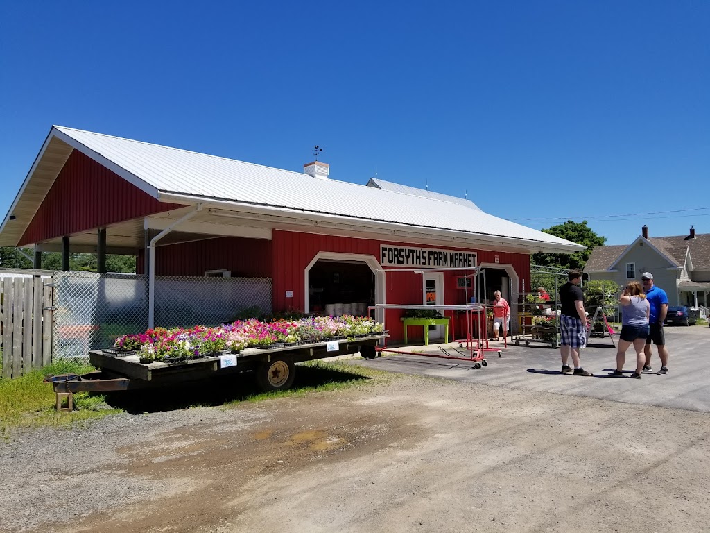 Forsyths Farm Market | 3759 Evangeline Trail, Berwick, NS B0P 1E0, Canada | Phone: (902) 538-9321