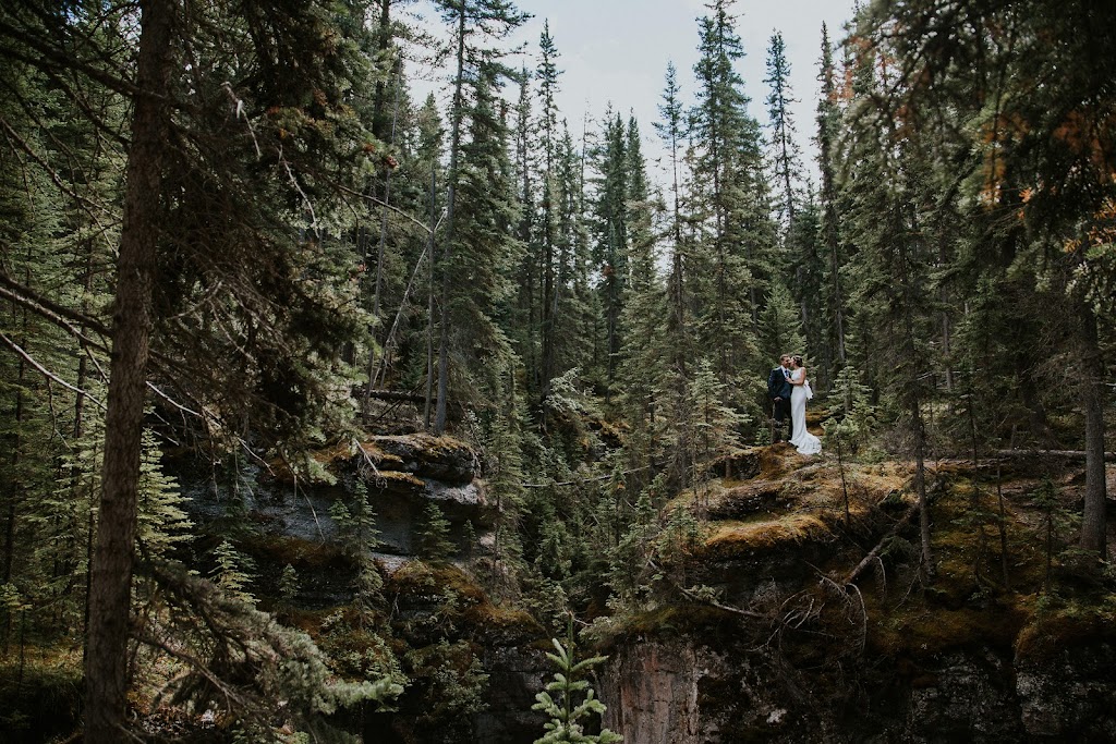 Sarah Pukin Photography | New Brighton Green SE, Calgary, AB T2Z 0J9, Canada | Phone: (403) 837-4614