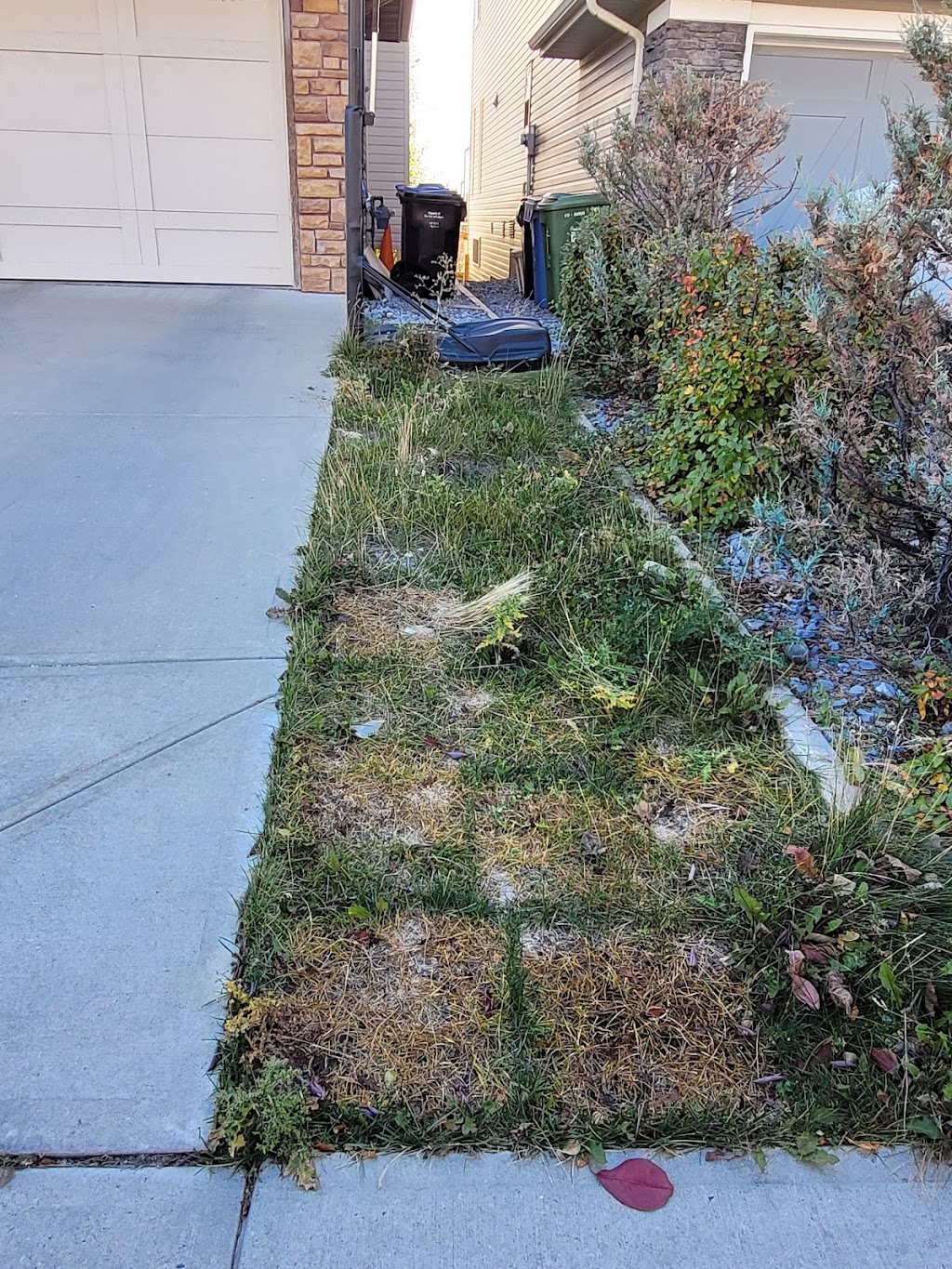 Eco-Land tree services and landscaping LTD | 119 Coachway Rd SW, Calgary, AB T3H 1B2, Canada | Phone: (587) 966-1905
