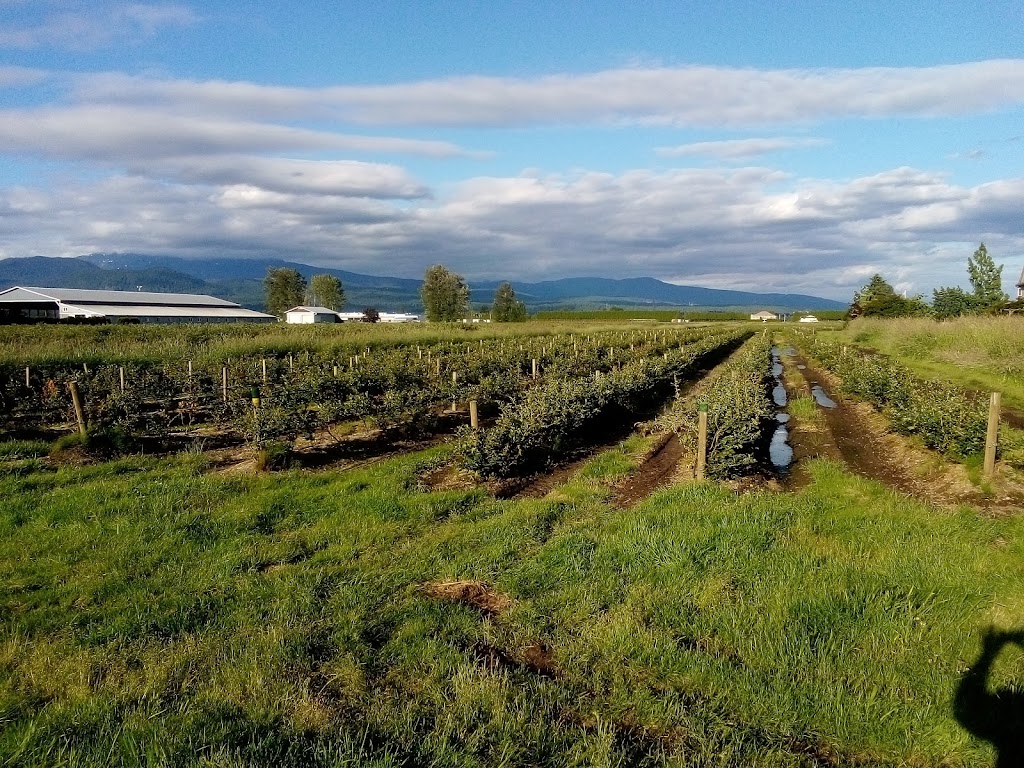 Wagner Blueberry Farm | 13568 Harris Rd, Pitt Meadows, BC V3Y 2T3, Canada | Phone: (604) 377-0380