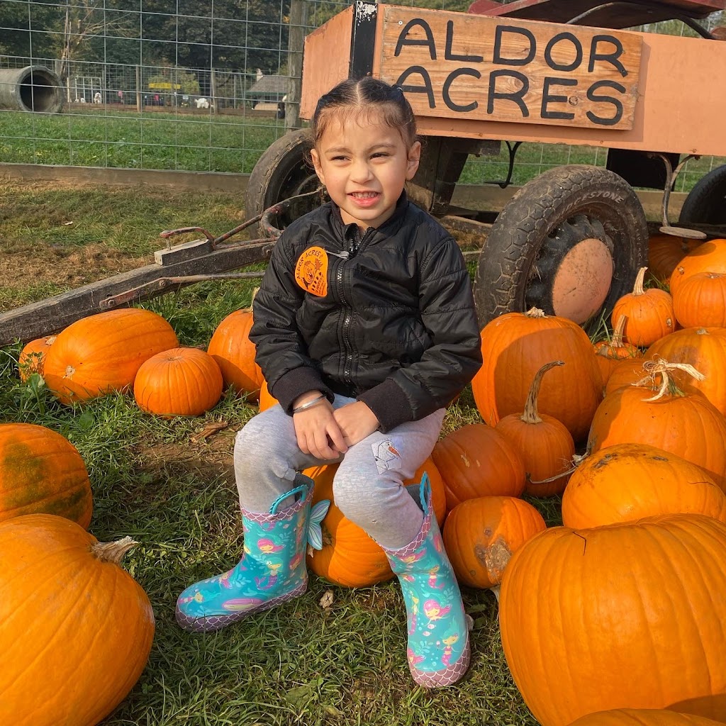 Great Beginnings Daycare | 7013 206 St, Langley, BC V2Y 1S9, Canada | Phone: (778) 986-2292