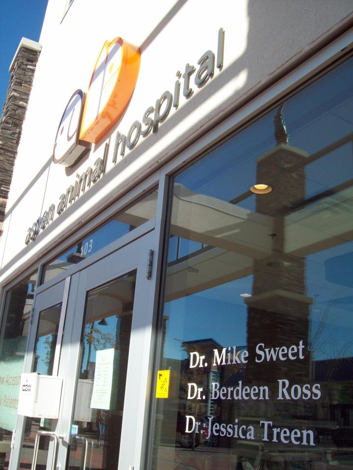 Aspen Animal Hospital | 333 Aspen Glen Landing SW #103, Calgary, AB T3H 0N6, Canada | Phone: (403) 217-0460