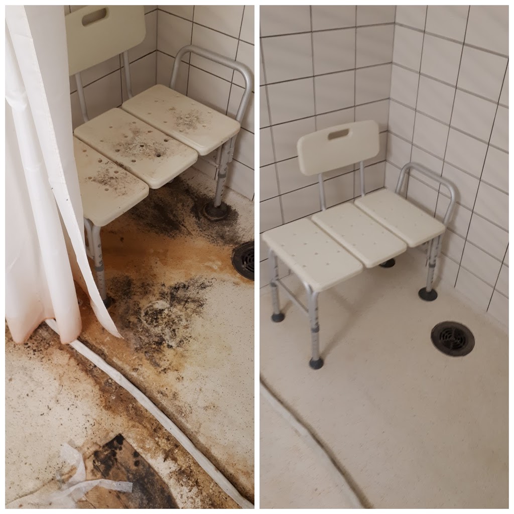 North Shore Cleaning | 223 Chapel St, Simcoe, ON N3Y 1N7, Canada | Phone: (226) 567-2147