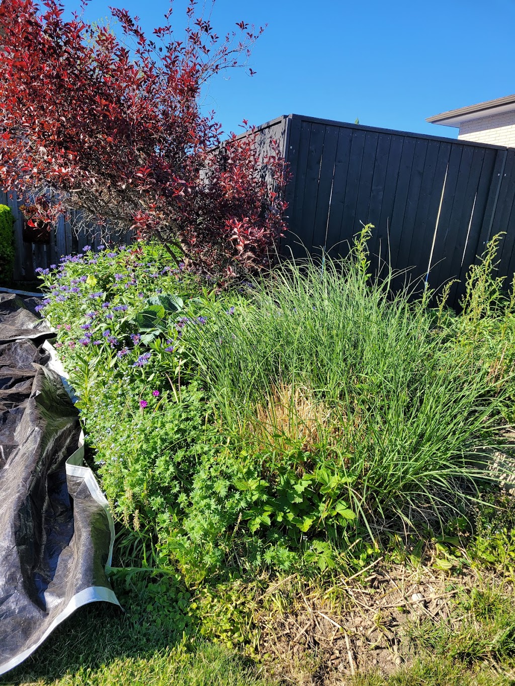 Alter-Eco Outdoor Services | 23 Pondcliffe Dr, Kitchener, ON N2R 0M1, Canada | Phone: (519) 589-5748