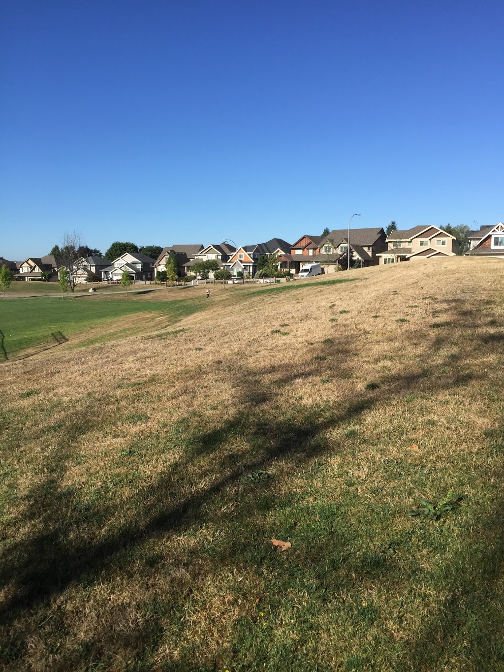 Routley Park | Champaigne Greenway, Langley City, BC V2Y 3H8, Canada