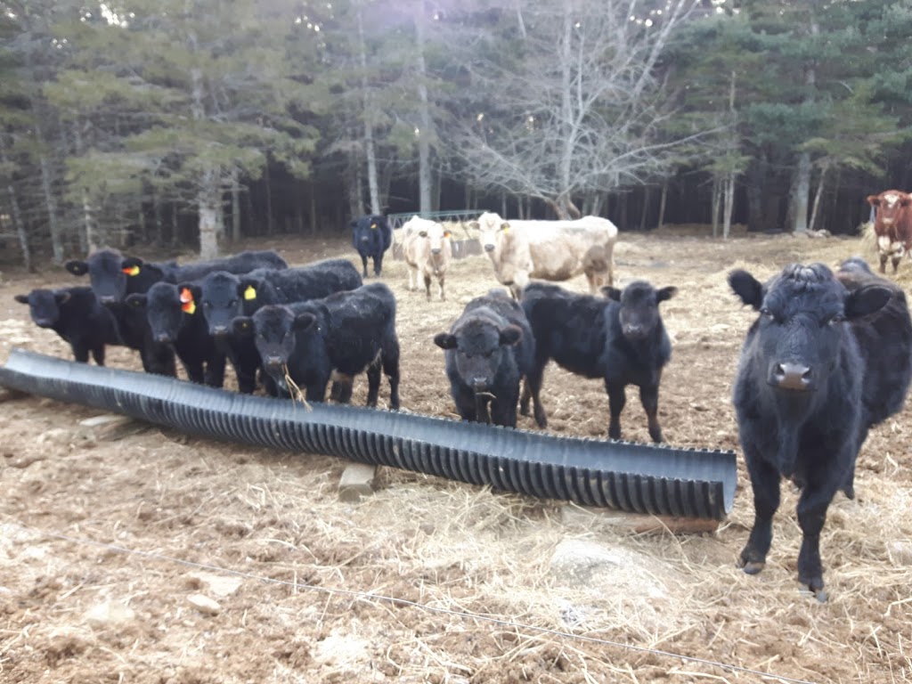 EIEIO Farm and Greenhouses | 503 Cornwall Rd, Blockhouse, NS B0J 1E0, Canada | Phone: (902) 624-9636