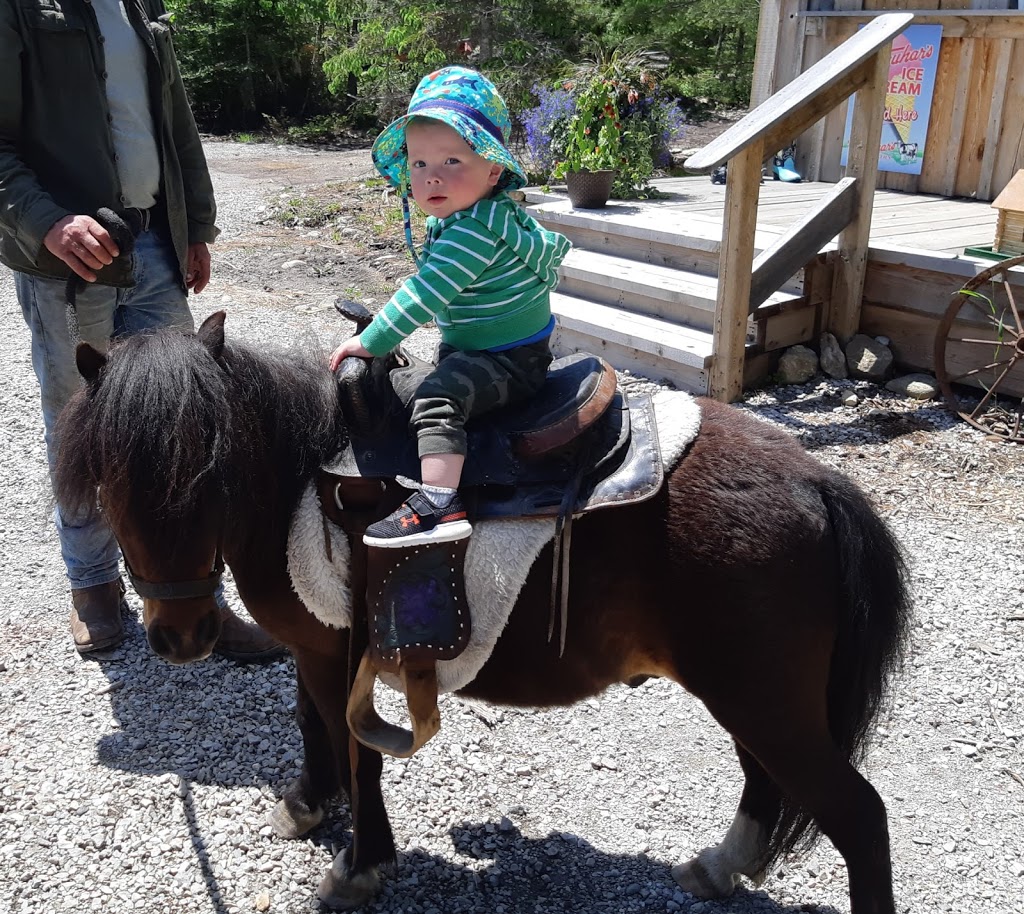 Kicking Mule Riding Stables & Cook House | 55 Gauthier Rd, Tehkummah, ON P0P 2C0, Canada | Phone: (705) 859-1040