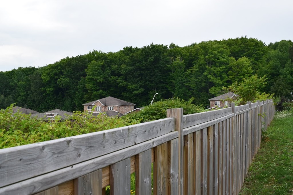 Shamrock Motel | 955 Yonge St, Midland, ON L4R 2E9, Canada | Phone: (705) 526-7851