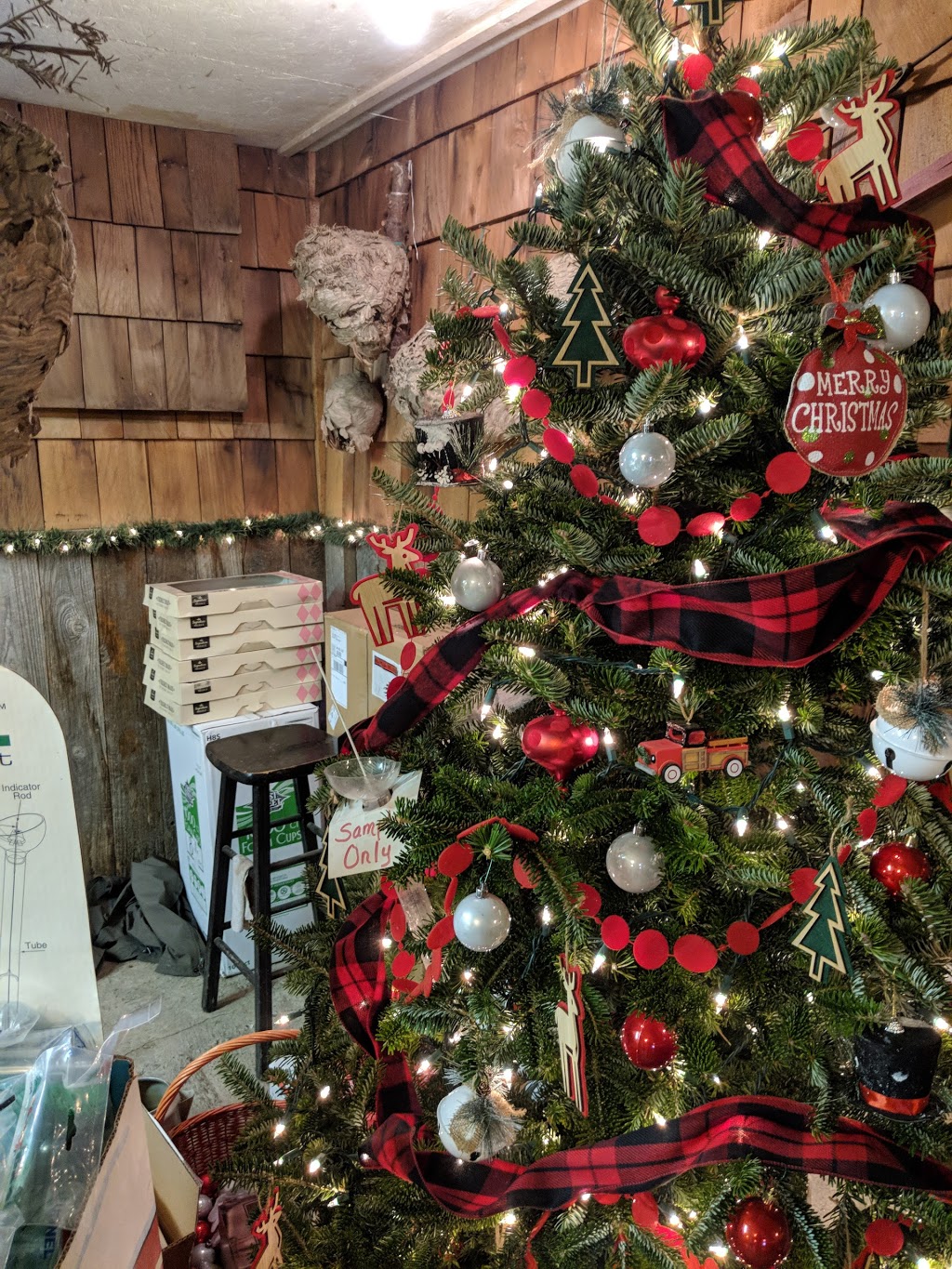 Alpine Meadows Tree Farm | 3585 Valley Hwy, Deming, WA 98244, USA | Phone: (360) 595-1019